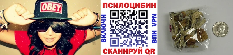 Галлюциногенные грибы Cubensis  закладки  Старая Русса 